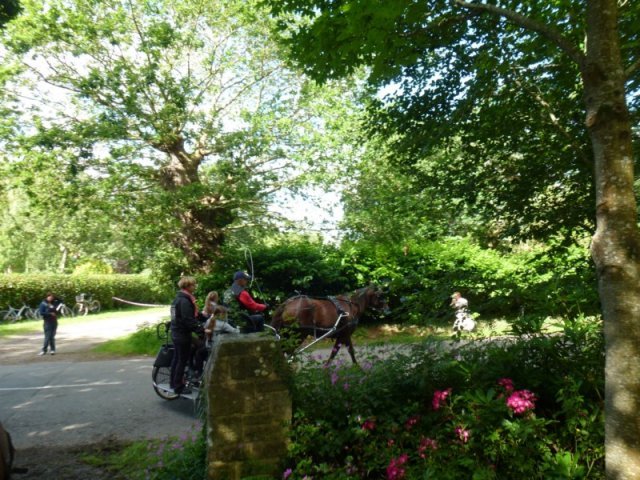 p1010559800x600_20140524_1514015952