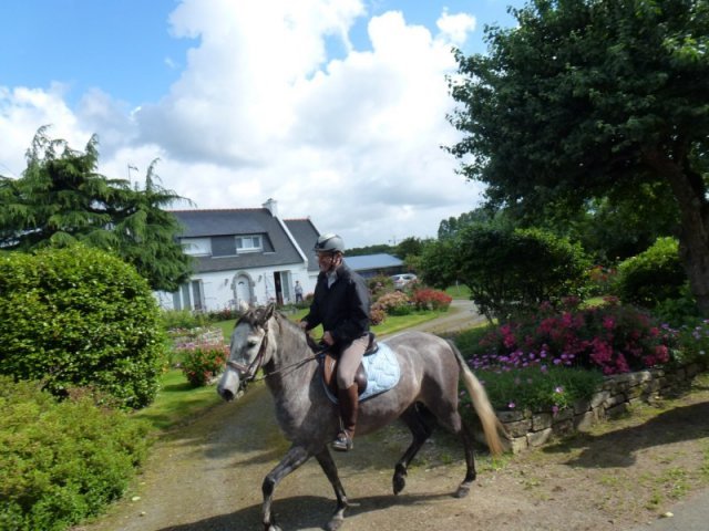 p1010582800x600_20140524_1713461861