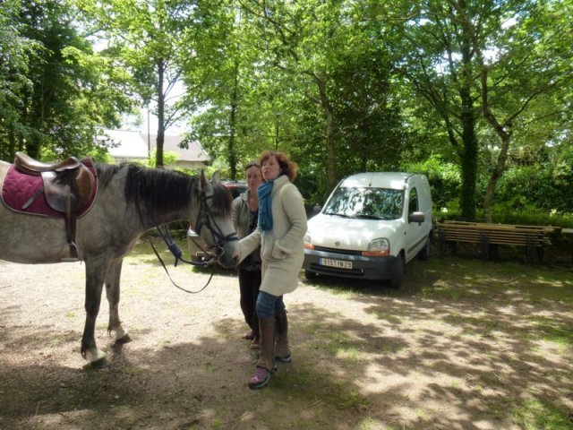 p1010606800x600_20140524_1567280292