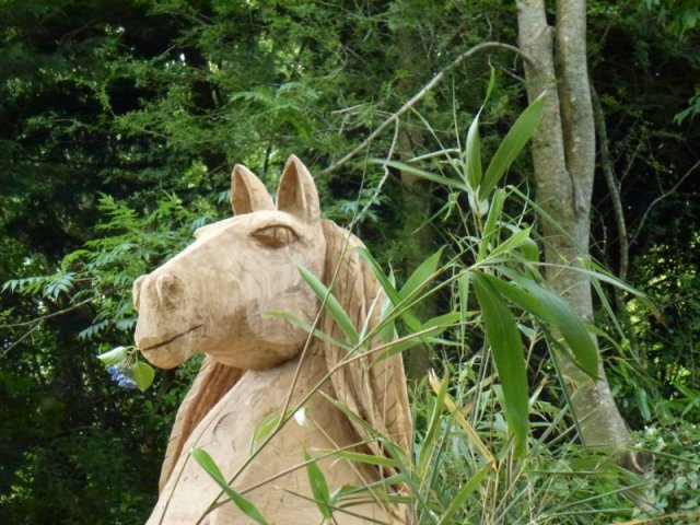 p1010624800x600_20140524_1199105013