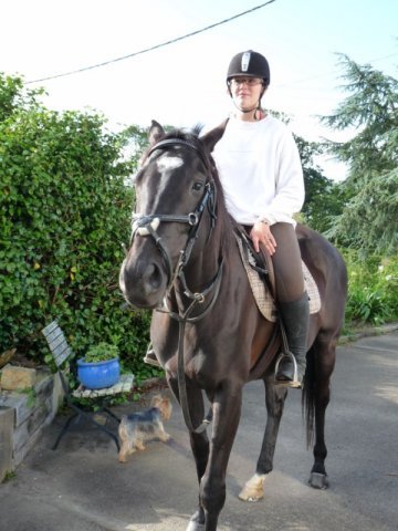 p1150361800x600_20140524_1965680177