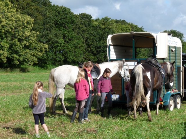 p1150372800x600_20140524_1149160884