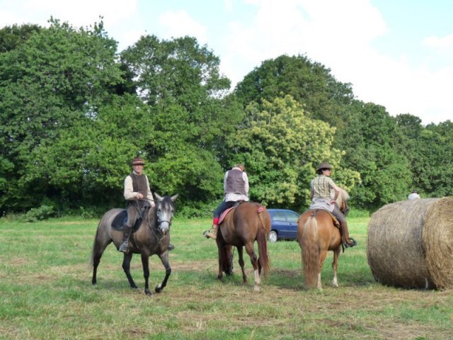 p1150374800x600_20140524_1323809253