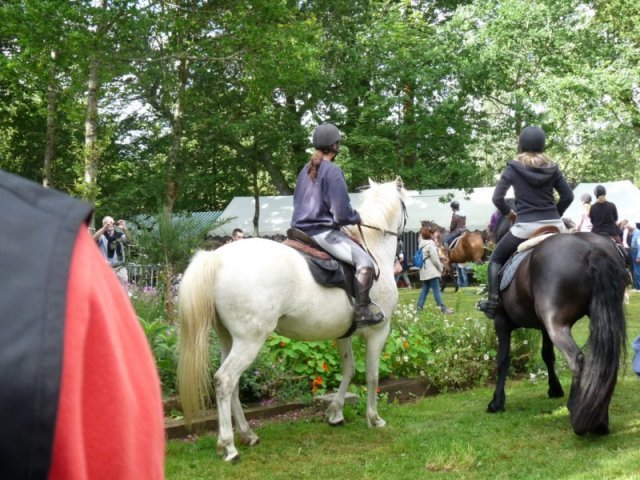 p1150382800x600_20140524_1765362453