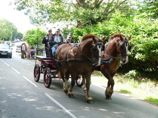 p1150384800x600_20140524_1280858155