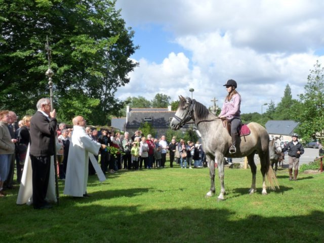 p1150408800x600_20140524_1424779052