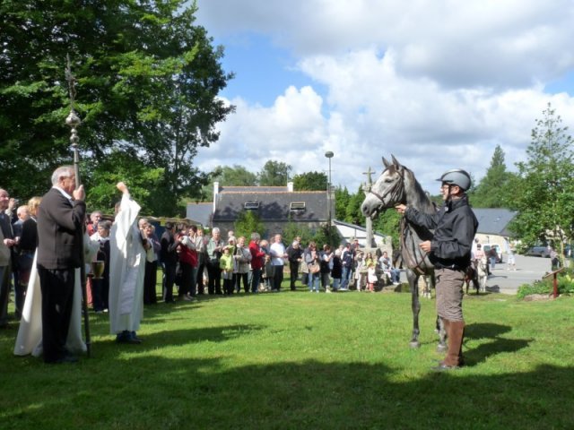 p1150410800x600_20140524_1347695699