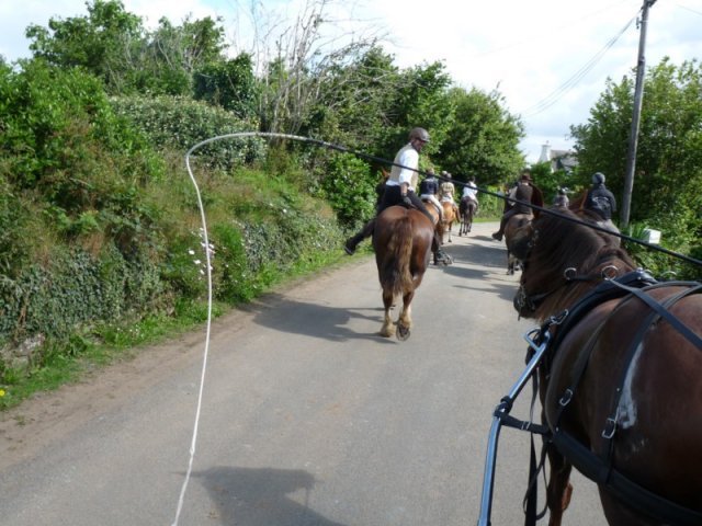 p1150446800x600_20140524_1127356066