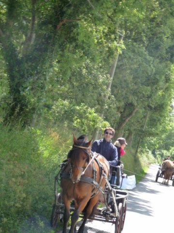 p1150456800x600_20140524_1063877126