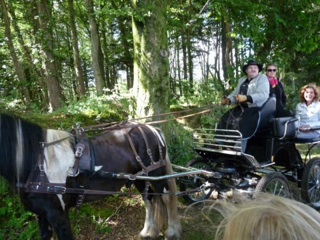 p1150459800x600_20140524_1127590744