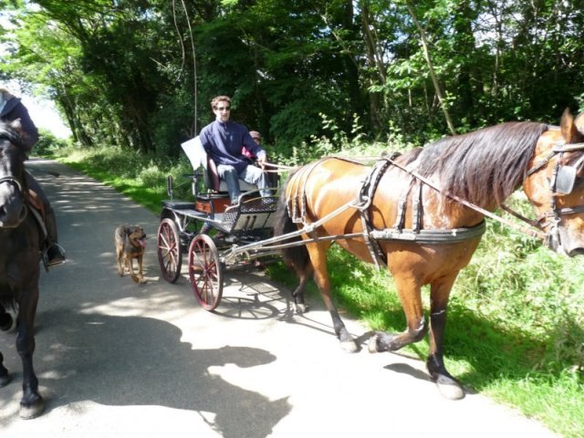 p1150462800x600_20140524_1729781234