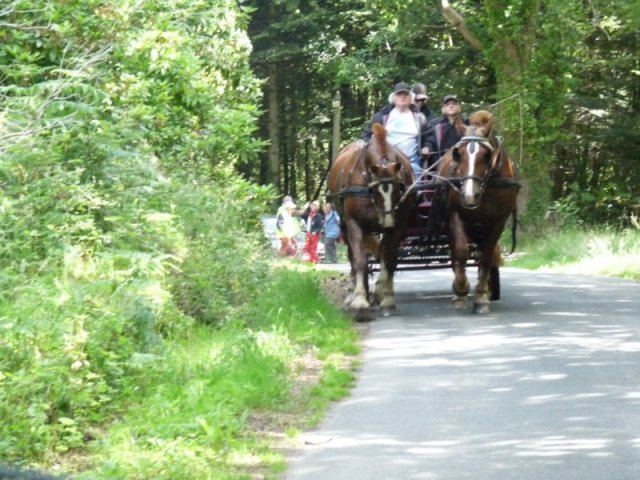 p1150467800x600_20140524_2035941257