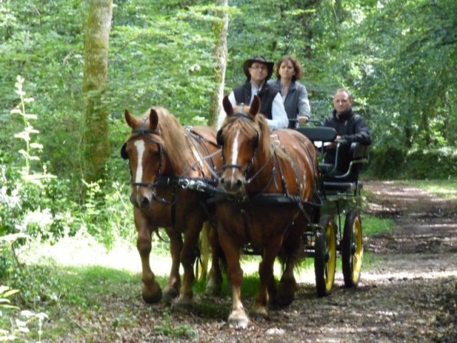 p1150468800x600_20140524_1780972416