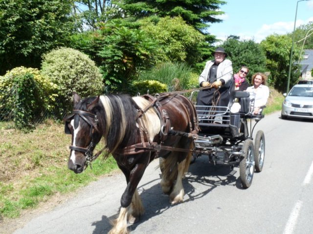 p1150486800x600_20140524_1507276727