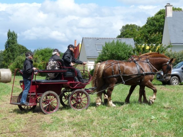 p1150494800x600_20140524_1901276291