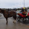 (082) Père Noël à Carrefour le 17 décembre 2017