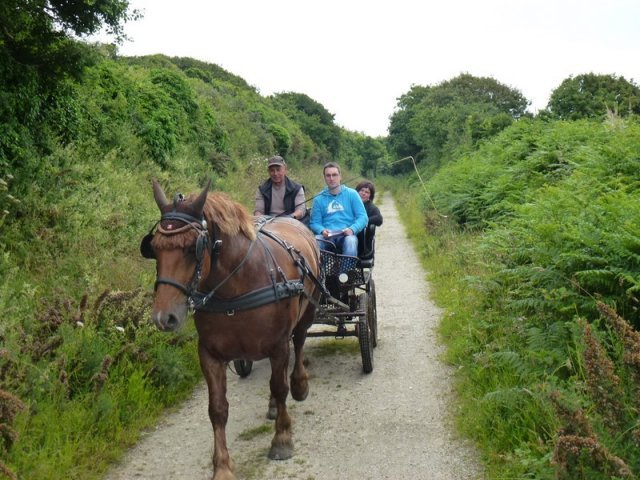 p1030851copier_20140524_1424091292