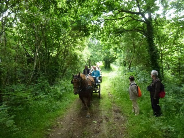 p1030860copier_20140524_1115432346