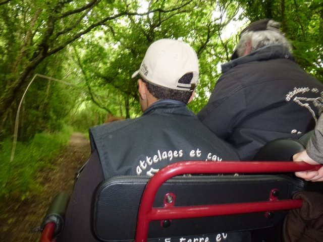 p1030861copier0_20140524_1667546329