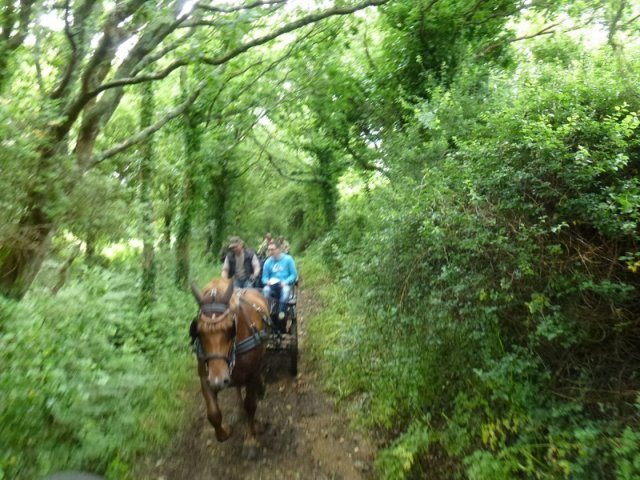 p1030864-copier_20140524_1618923430