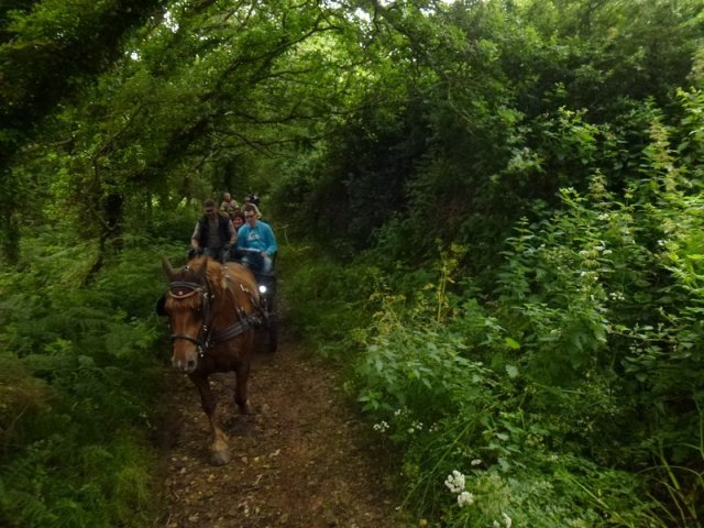 p1030865copier_20140524_1093708991