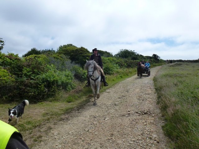 p1030869copier_20140524_2016874057