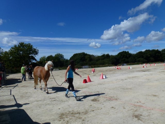 p1040297copier_20140524_1679292070