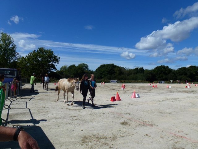 p1040298copier_20140524_1340223598