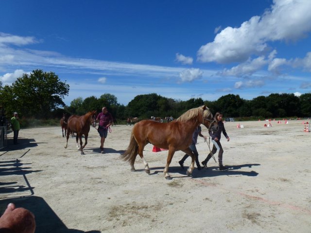 p1040301copier_20140524_1076457224