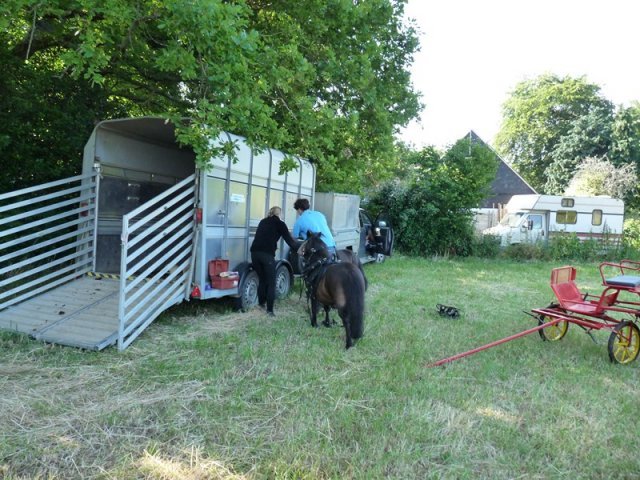 p1230173copier_20140524_1356460725