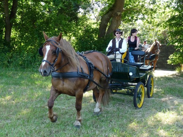 p1230174copier_20140524_1548630128