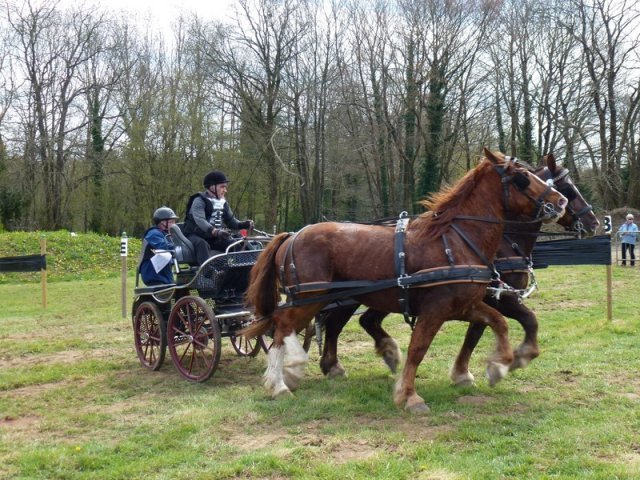 p1030218copier_20140524_1309944194