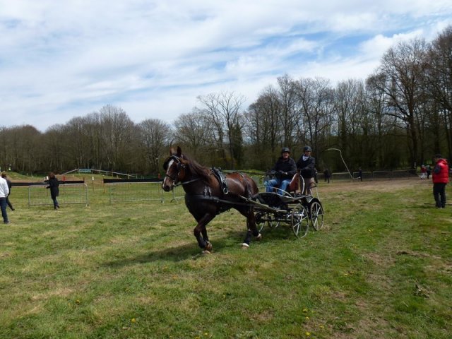 p1030221copier_20140524_1996398247