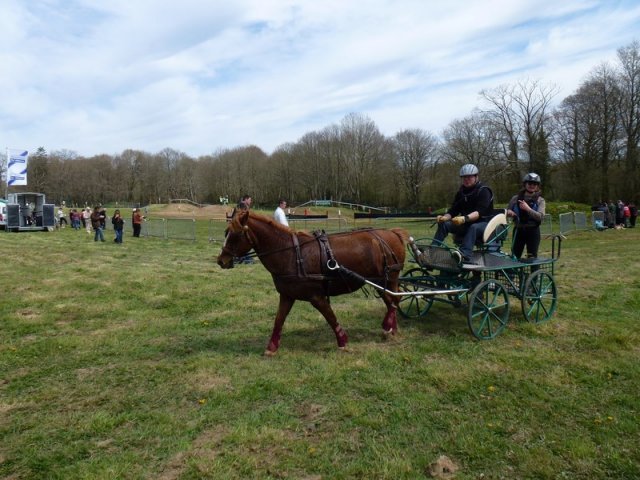 p1030225copier_20140524_1464490610