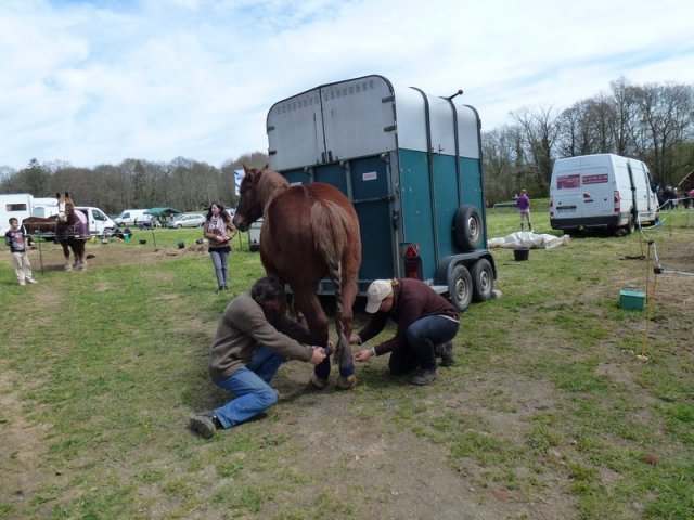 p1030234copier_20140524_2092018774