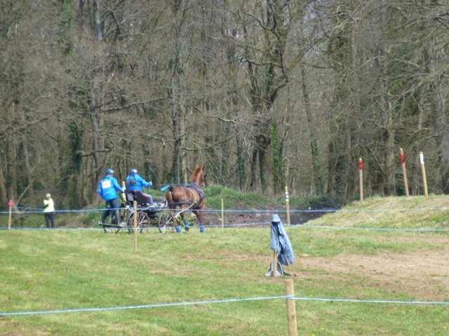 p1030247copier_20140524_1662765105