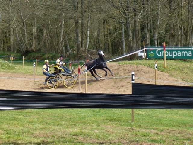 p1030256copier_20140524_1151136188