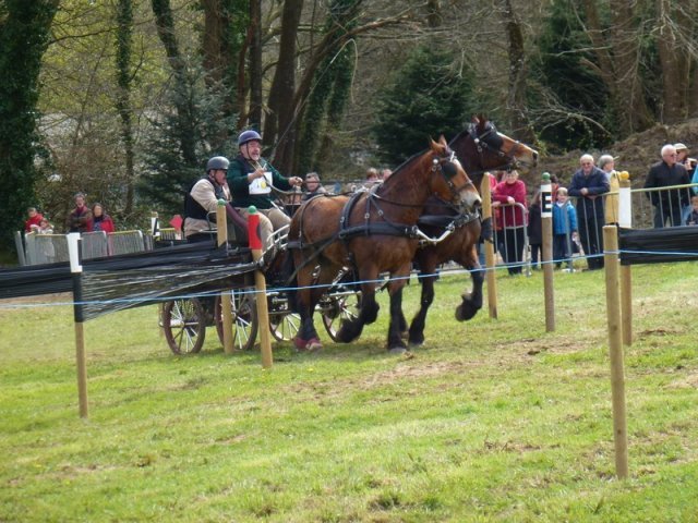 p1030278copier_20140524_1778054627