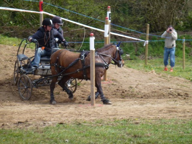 p1030283copier0_20140524_1339207288