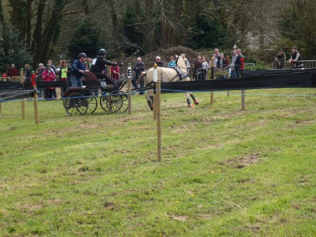 p1030287copier_20140524_1602522647