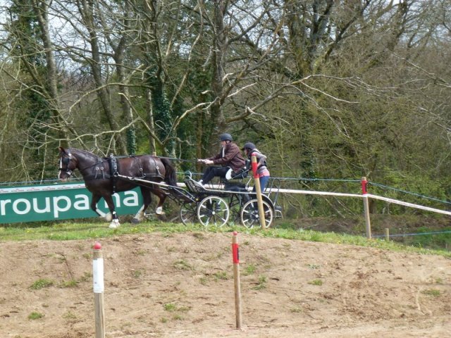 p1030302copier_20140524_1552860452