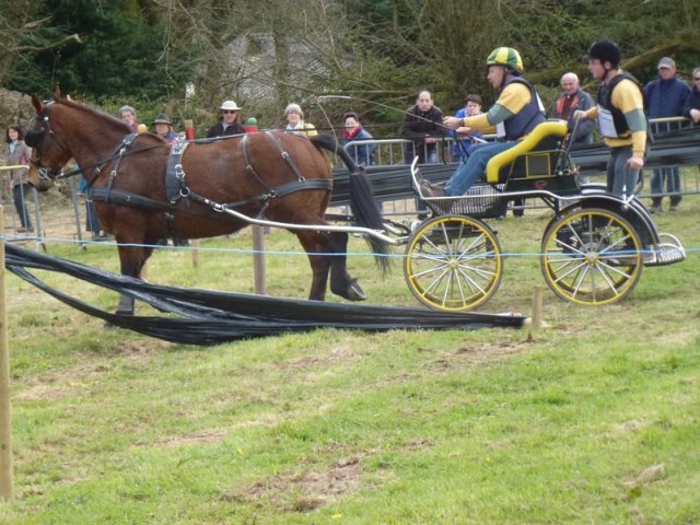 p1030311copier_20140524_2091524638