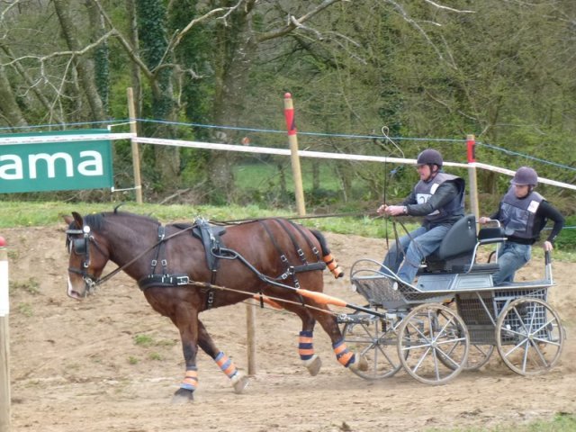 p1030316copier_20140524_2074030225