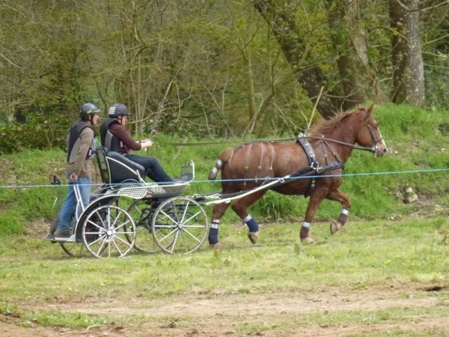 p1030318copier_20140524_1478215932