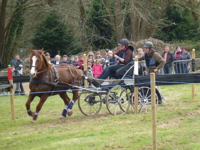 p1030322copier_20140524_1915270390