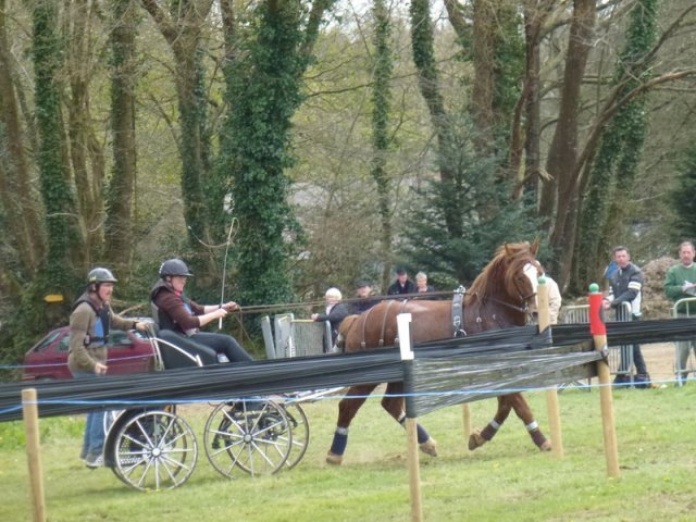 p1030323copier_20140524_1113640414