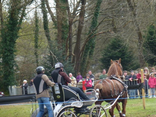 p1030325copier_20140524_2006848268