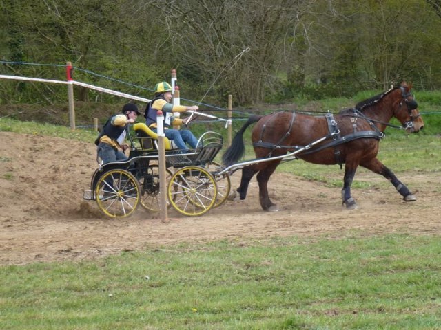 p1030327copier_20140524_1353745015