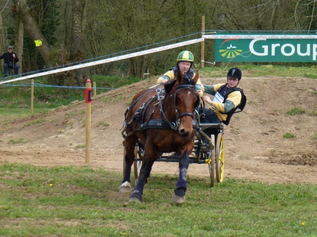 p1030330copier_20140524_1347718555