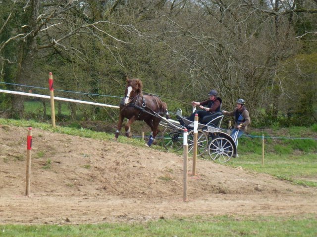 p1030334copier_20140524_1070283381